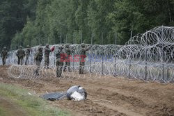 Budowa płotu na granicy polsko-białoruskiej