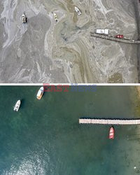 Morskie smarki zniknęły z wybrzeża Turcji