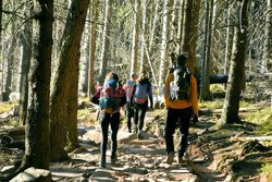 Polskie Tatry Albin Marciniak