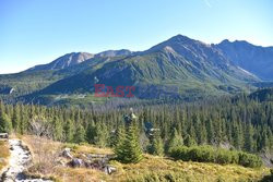 Polskie Tatry Albin Marciniak