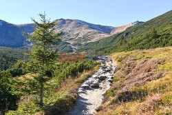 Polskie Tatry Albin Marciniak