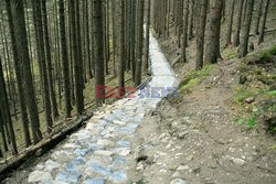 Polskie Tatry Albin Marciniak