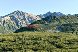 Polskie Tatry Albin Marciniak