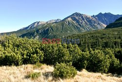 Polskie Tatry Albin Marciniak