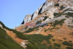 Polskie Tatry Albin Marciniak