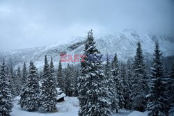 Polskie Tatry Albin Marciniak