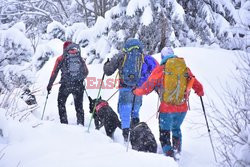 Polskie Tatry Albin Marciniak