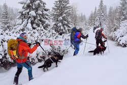 Polskie Tatry Albin Marciniak