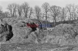 Magdalena Abakanowicz i jej rzeźby