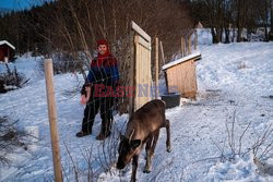 Turbiny wiatrowe w Laponii - AFP