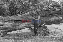 Magdalena Abakanowicz i jej rzeźby