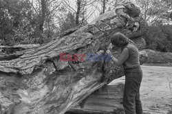 Magdalena Abakanowicz i jej rzeźby