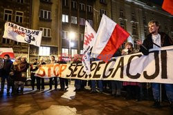 Protest przeciwko segregacji sanitarnej