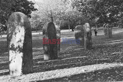 Magdalena Abakanowicz i jej rzeźby