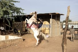 Tradycyjne wyścigi konne w Burkina Faso - AFP