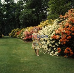 V&A Museum - Brytyjska rodzina królewska - fot. Cecil Beaton