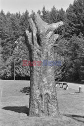 Magdalena Abakanowicz i jej rzeźby