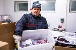 Hodowla reniferów w Laponii - AFP