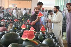 Targ owocowy w Pakistanie