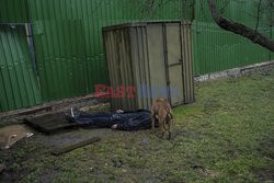 Wojna w Ukrainie - masakra cywilów w Buczy