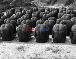 Magdalena Abakanowicz i jej rzeźby