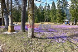 Polskie Tatry Albin Marciniak