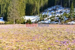 Polskie Tatry Albin Marciniak