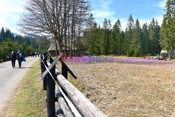 Polskie Tatry Albin Marciniak