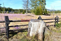 Polskie Tatry Albin Marciniak