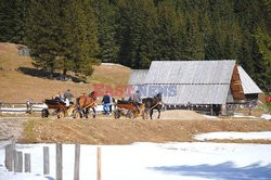 Polskie Tatry Albin Marciniak