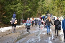 Polskie Tatry Albin Marciniak