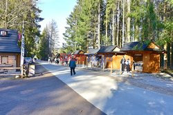 Polskie Tatry Albin Marciniak