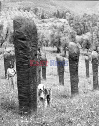 Magdalena Abakanowicz i jej rzeźby