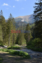 Tatry Słowackie Albin Marciniak