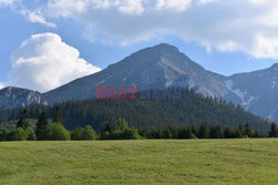 Tatry Słowackie Albin Marciniak