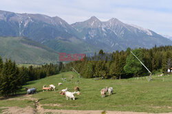 Tatry Słowackie Albin Marciniak