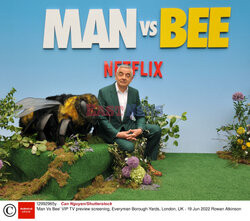 Pokaz filmu Man vs Bee