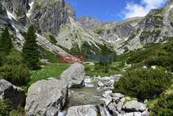 Tatry Słowackie Albin Marciniak