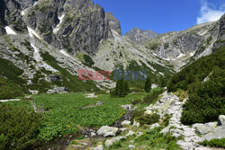 Tatry Słowackie Albin Marciniak