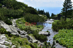 Tatry Słowackie Albin Marciniak