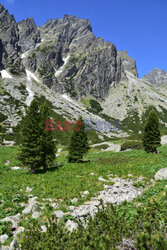 Tatry Słowackie Albin Marciniak