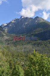 Tatry Słowackie Albin Marciniak