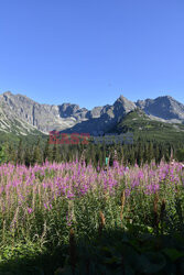 Polskie Tatry Albin Marciniak