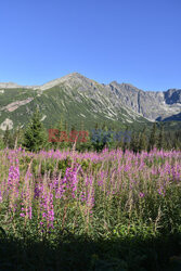 Polskie Tatry Albin Marciniak