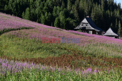 Polskie Tatry Albin Marciniak