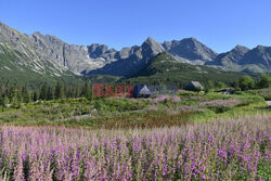 Polskie Tatry Albin Marciniak