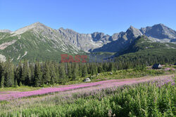 Polskie Tatry Albin Marciniak