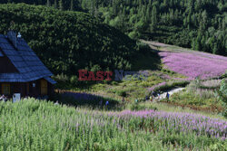 Polskie Tatry Albin Marciniak