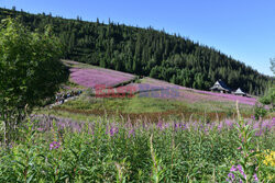 Polskie Tatry Albin Marciniak