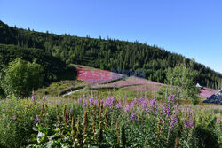 Polskie Tatry Albin Marciniak